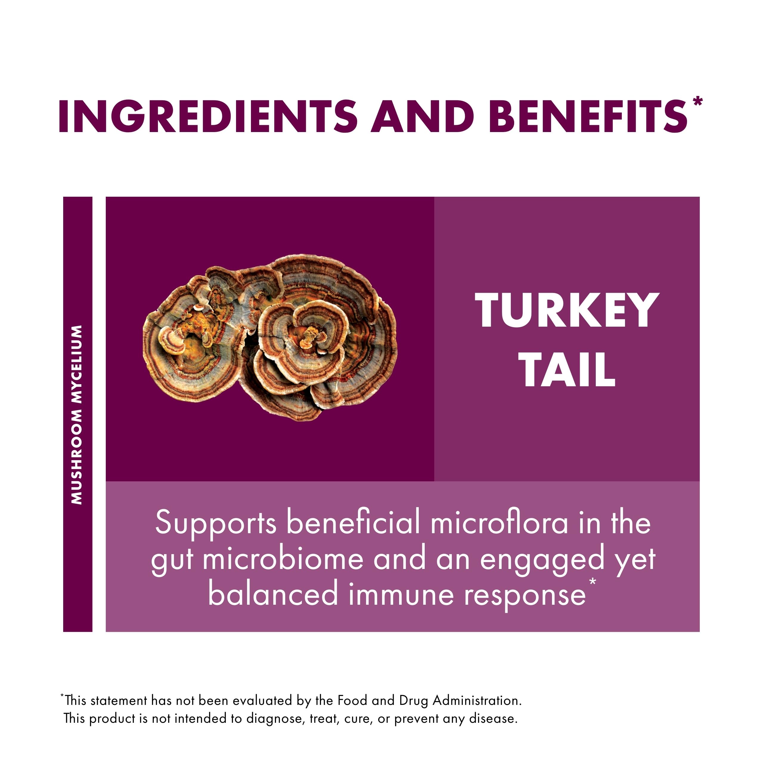 Host Defense Turkey Tail - dosage quotidien recommandé, deux capsules