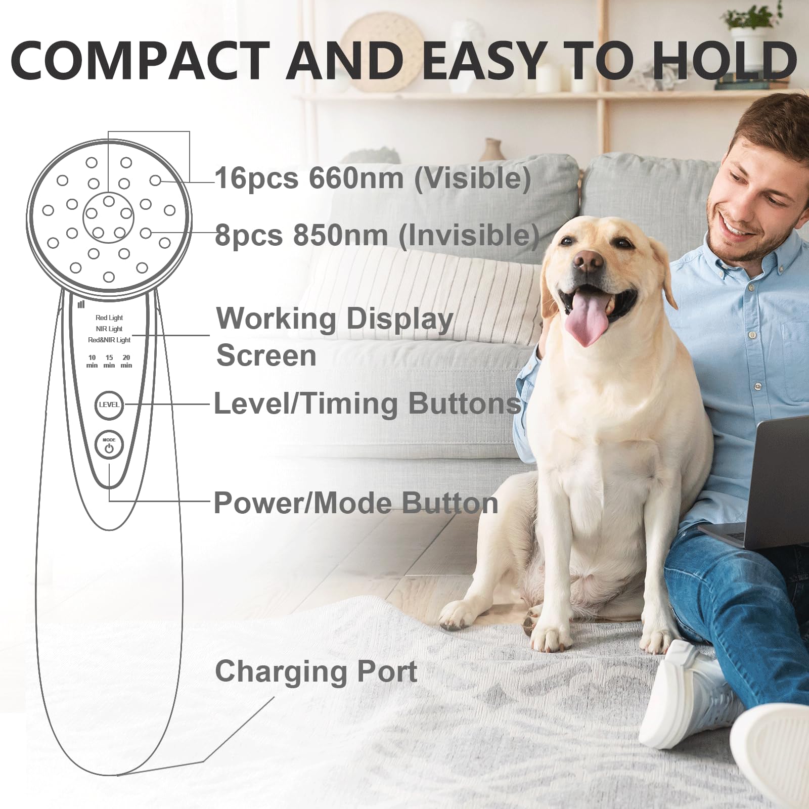 Hottoerak thérapie animaux compagnons, peut accompagner votre animal lors des sessions.