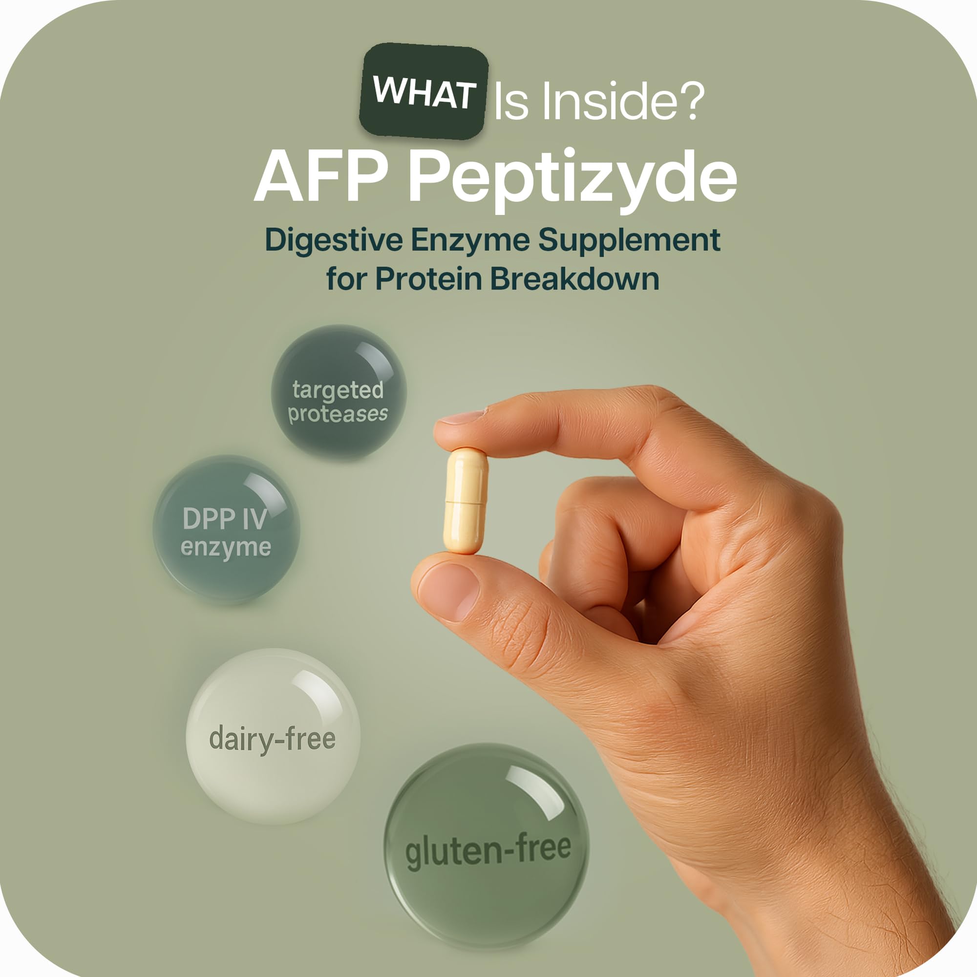 Houston Enzymes AFP Peptizyde – Enzymes Digestifs pour Protéines (Casé ...
