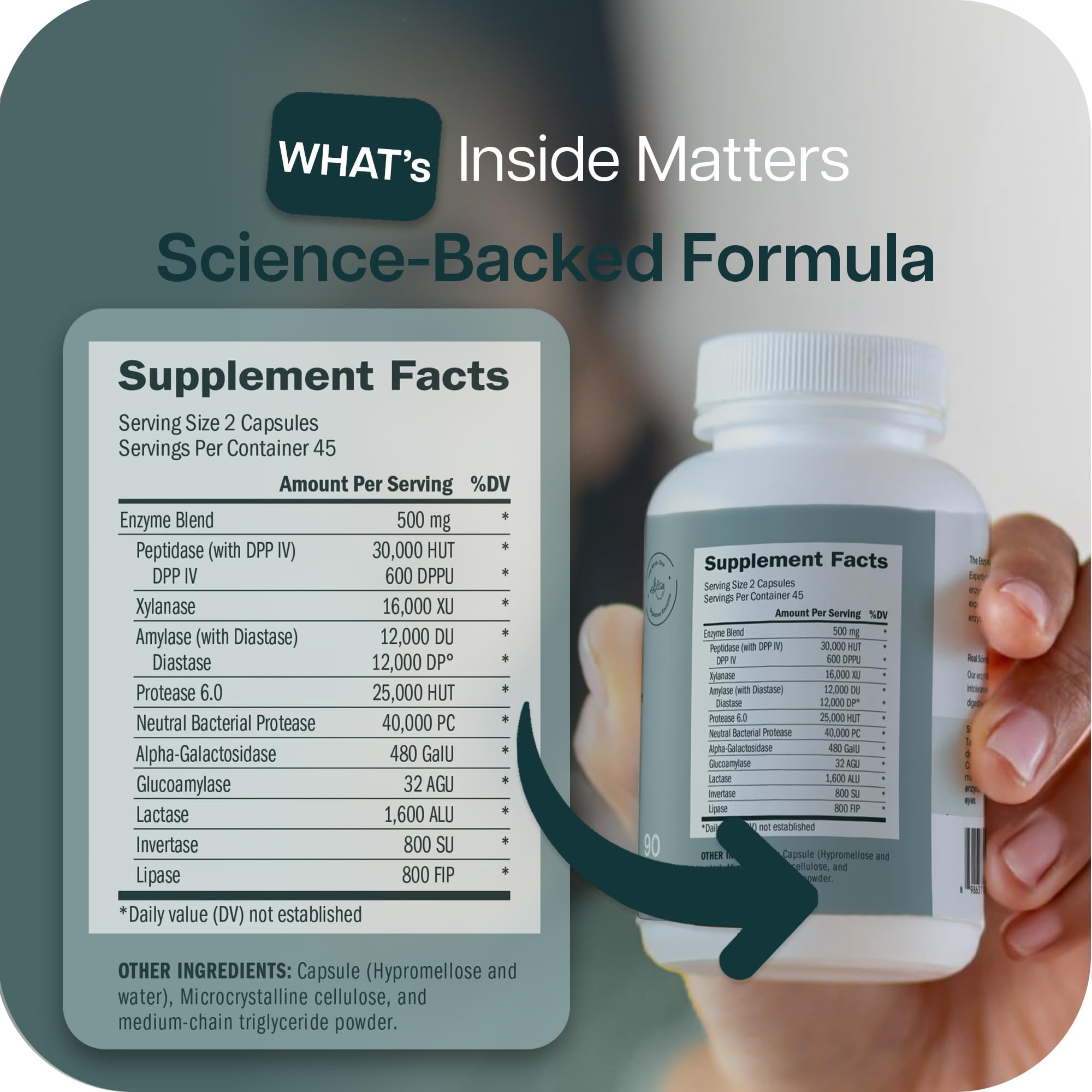 Soutien au microbiome digestif par TriEnza grâce à des enzymes actives dans l'estomac.