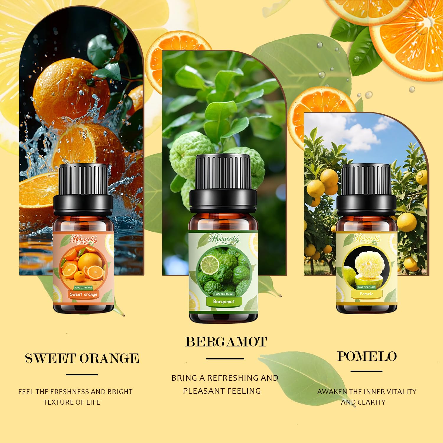 Hovacota Bergamote: huile essentielle vivifiante en flacon.