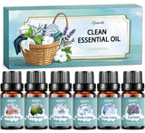 Ensemble Hovacota d’huiles essentielles pour lessive, parfum durable.