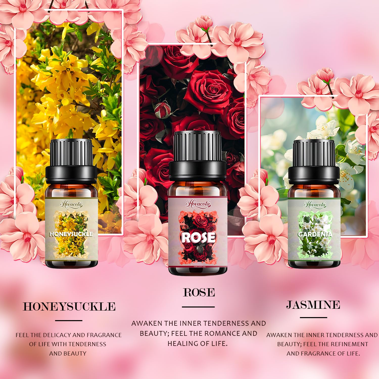 Hovacota gardenia – senteur florale pour ambiance lumineuse