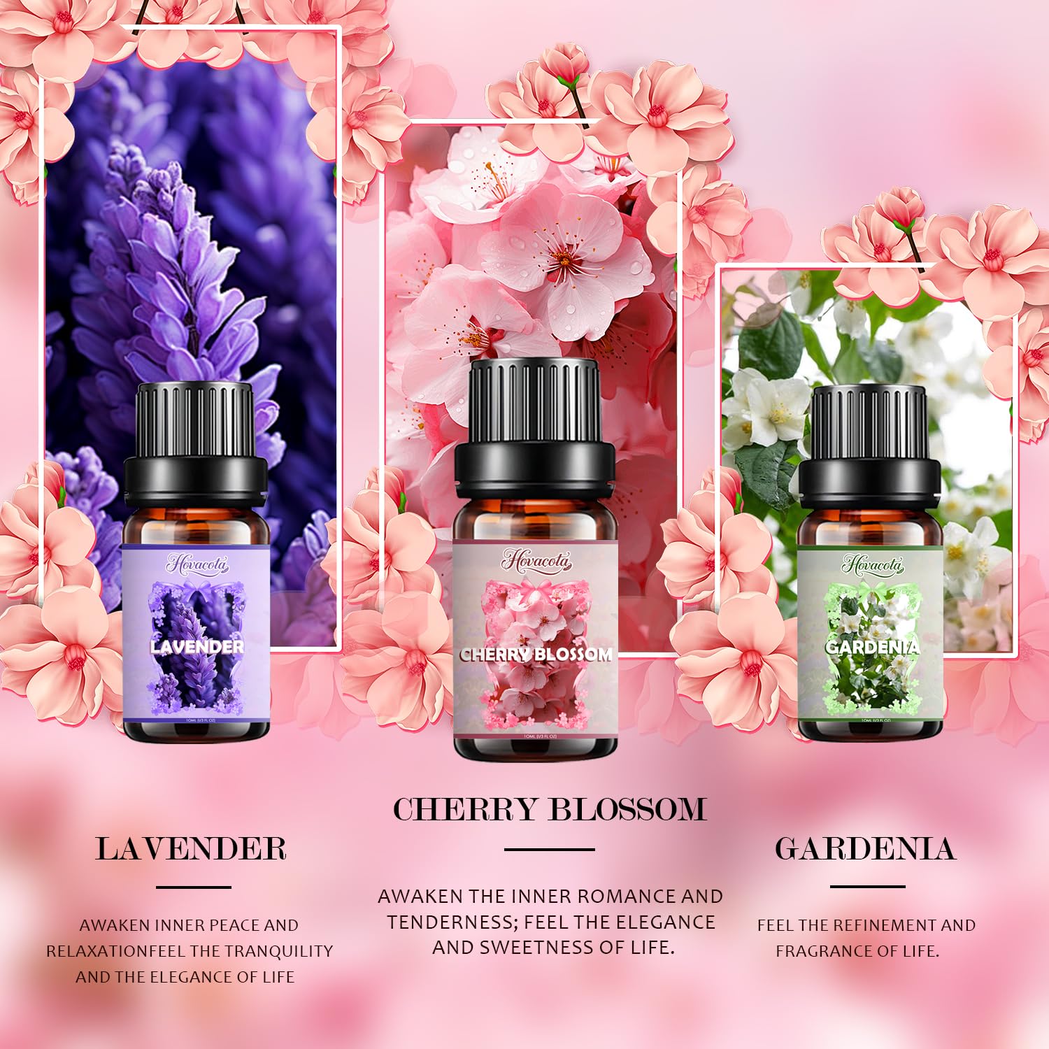 Hovacota rose – arôme doux et raffiné pour soin et détente