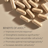 AHCC Shiitake extrait HPD Rx — formulation standardisée et durable.