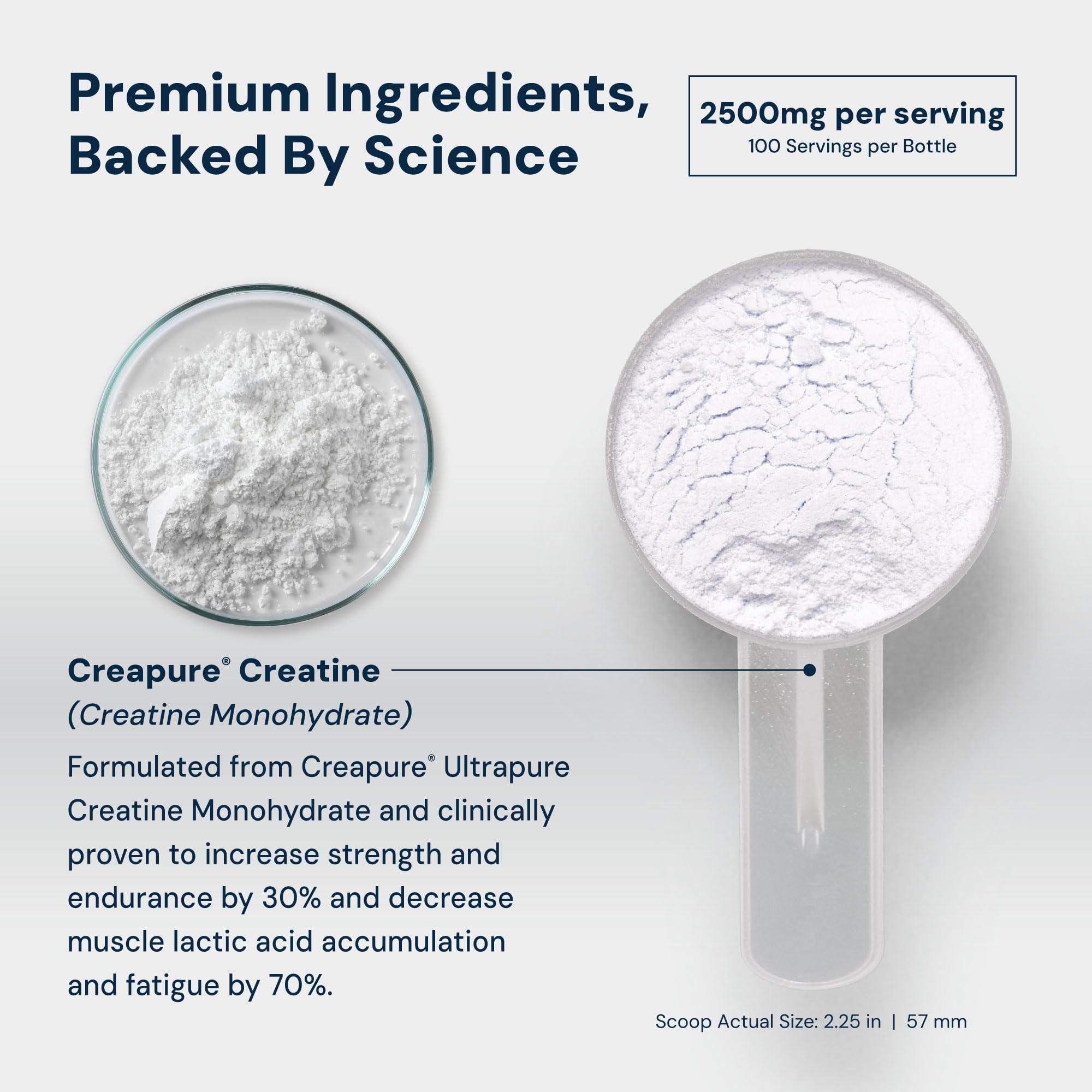 HPN C2 Créatine Monohydrate — doseur pratique pour mesurer la portion