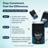 HPN NAD3: visuel suggère soutien cellulaire et vitalité durable