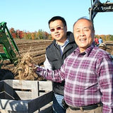 Origine ferme de Wausau: ginseng américain Hsu's.