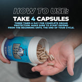 Huge Supplements Defend Cycle: tableau des dosages et répartition des actifs par portion.