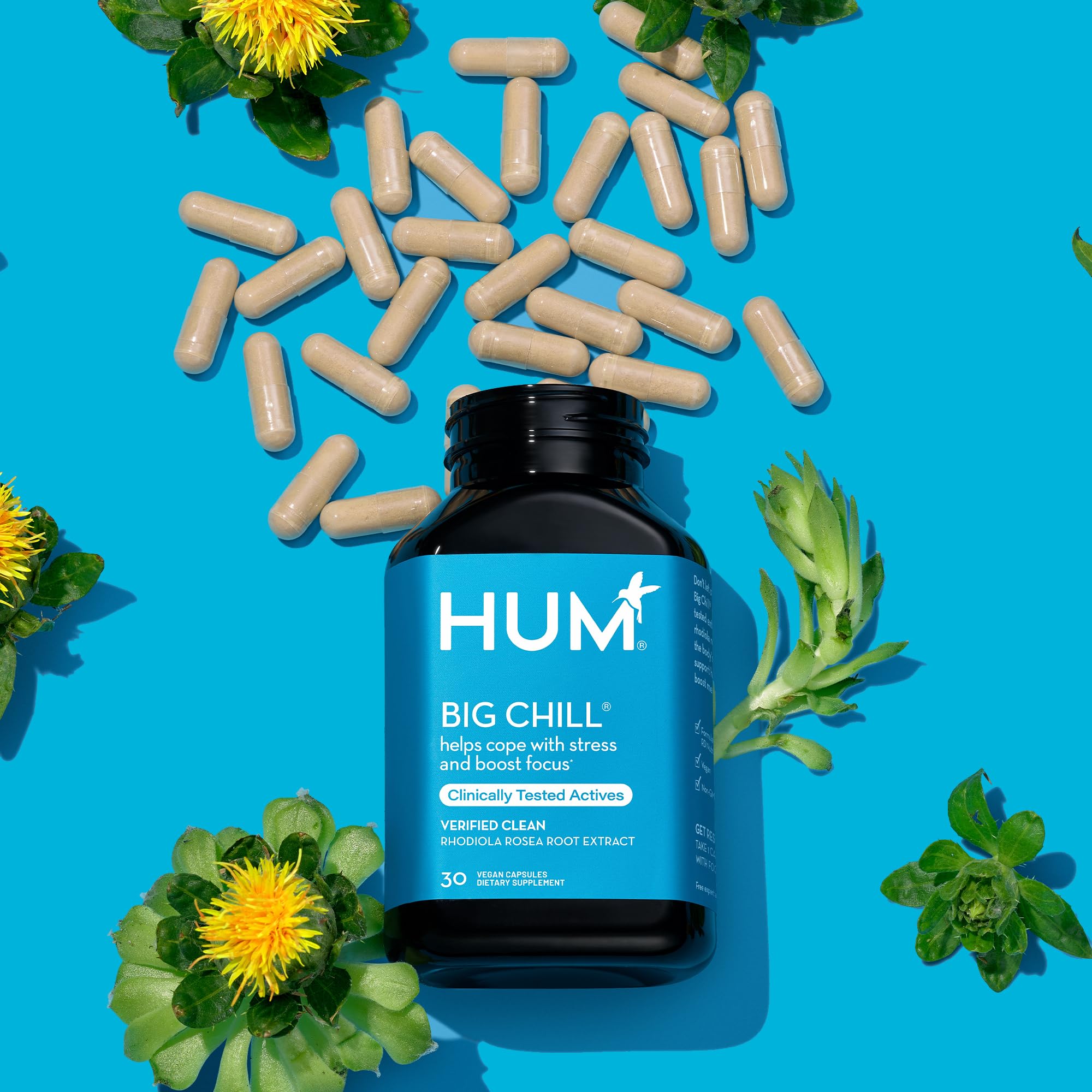 Sans arômes artificiels sur HUM Big Chill pour une expérience naturelle.