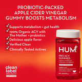 Gommes HUM Pro B12 pour booster l'énergie durablement.