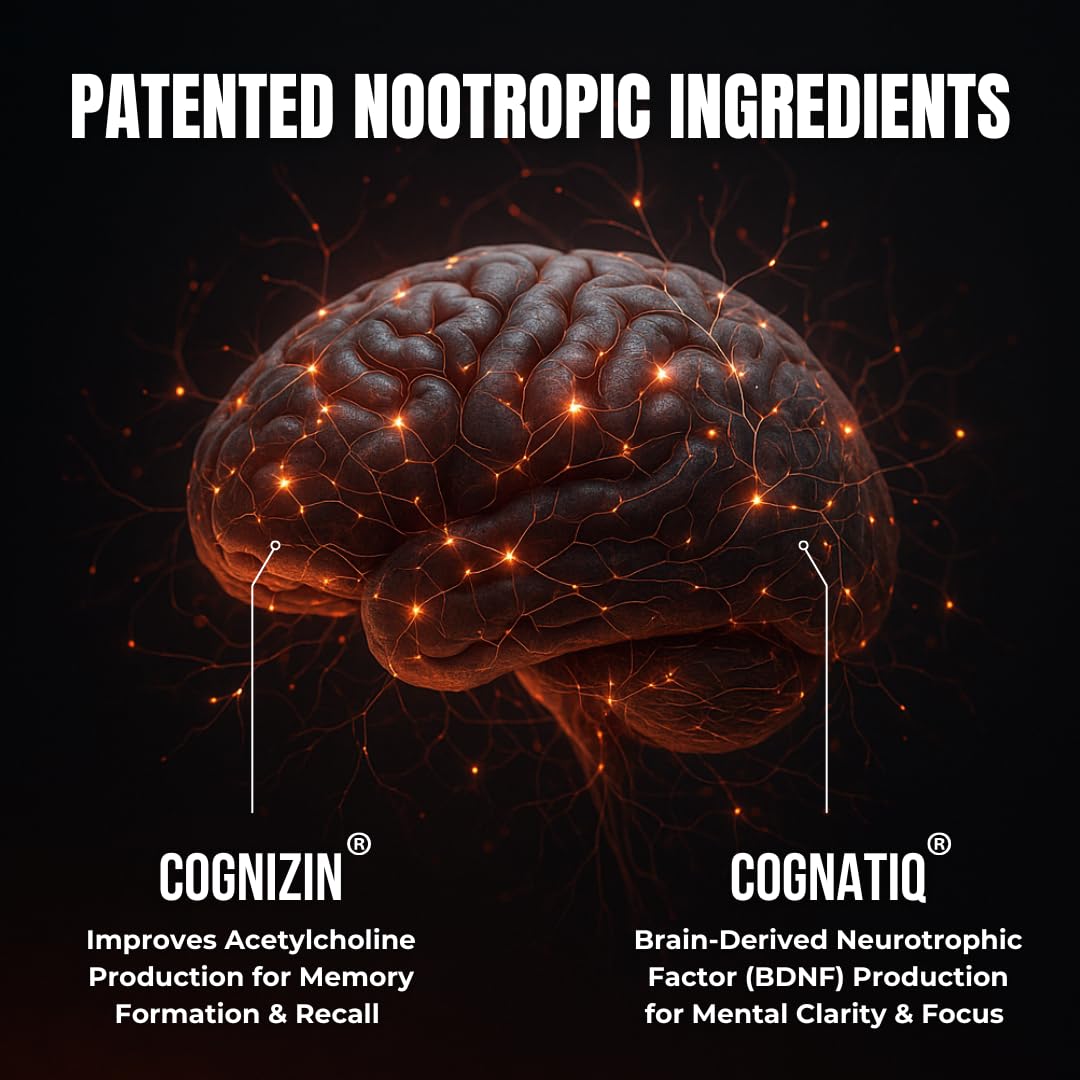 Humblroots Focus: Cognizin et CognatiQ, soutien cognitif potentiel non stimulant.