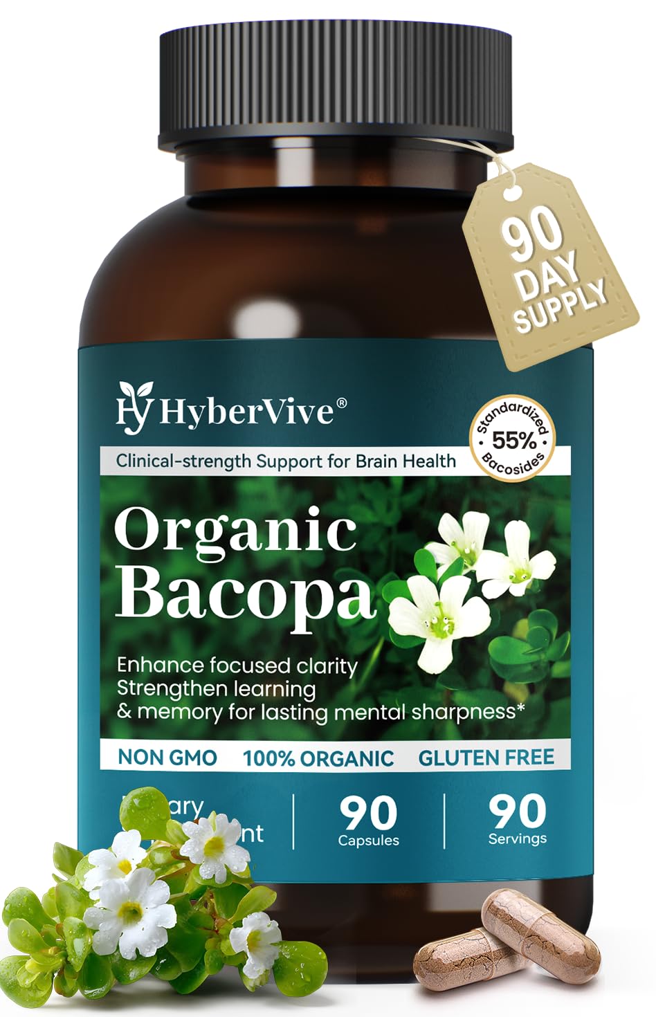 HyberVive Bacopa Monnieri en bouteille, capsules prêtes pour concentration et mémoire.