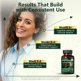 HyberVive Luteolin: capsules alignées, routine quotidienne pour le bien-être mental.