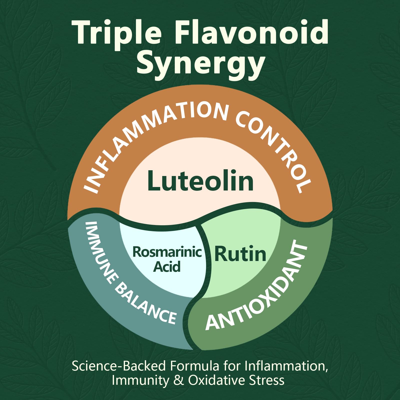 HyberVive Luteolin: emballage carton reflétant fabrication américaine et qualité.