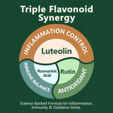 HyberVive Luteolin: emballage carton reflétant fabrication américaine et qualité.