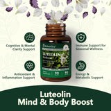 HyberVive Luteolin: ingrédients clés perilla et rutin mis en avant.