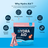 HYDRA AID sachets vegan sans arômes artificiels et sans OGM.