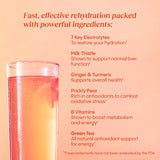 HydraLyte Liver Support ingredients chardon Marie et figue de Barbarie presentant les composants clés