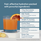 Hydralyte Soutien Hépatique Plus – ingrédients clés et hydratation efficace.