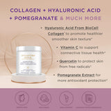 Purity Products Hylastra Gold – composition BioCell Collagen et vitamine C pour la peau