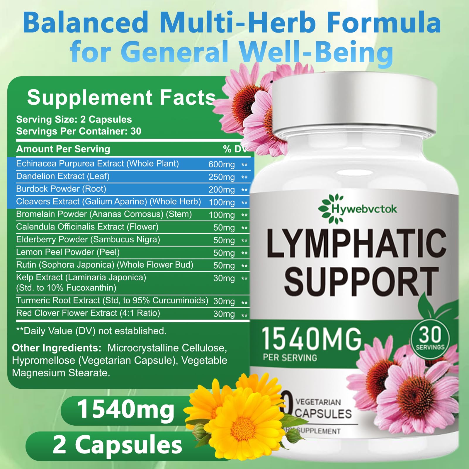 Hywebvctok ingredients 12 herbes présente les plantes utilisées dans la formulation.