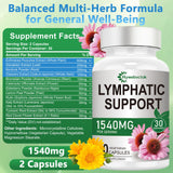 Hywebvctok ingredients 12 herbes présente les plantes utilisées dans la formulation.