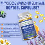 HZZYPLANT Magnésium glycinate – 400 mg par capsule pour énergie et récupération.