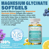 Gélules magnésium 500 mg HZZYPLANT — absorption élevée pour soutien musculaire.