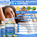 HZZYPLANT ashwagandha-l-theanine-complexe: association adaptogène pour une concentration équilibrée.
