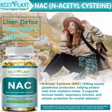 HZZYPLANT NAC, bouteille de gelules molles pratique pour la routine quotidienne.