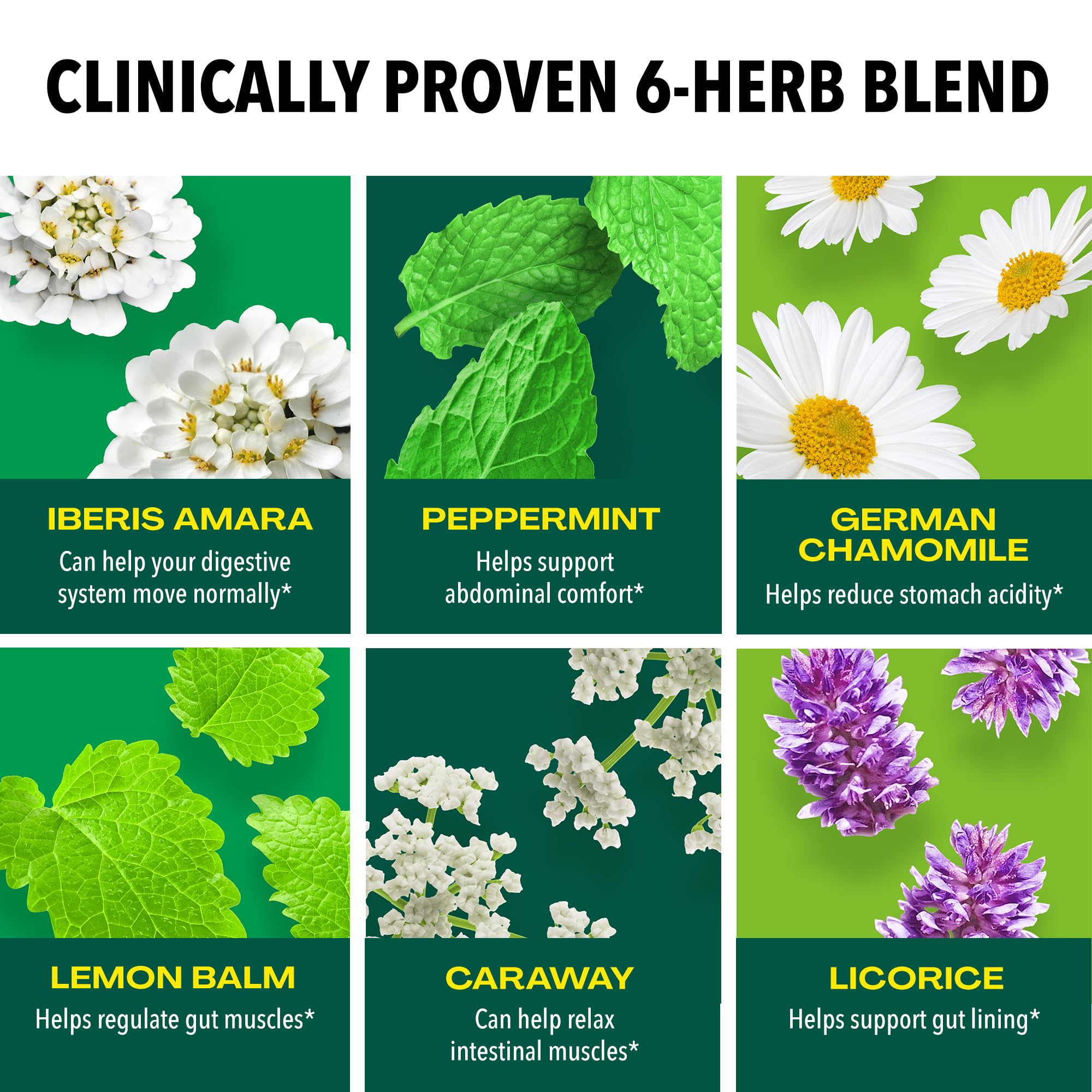 Iberogast Softgels, étiquette lisible dévoilant le nom et les herbes.