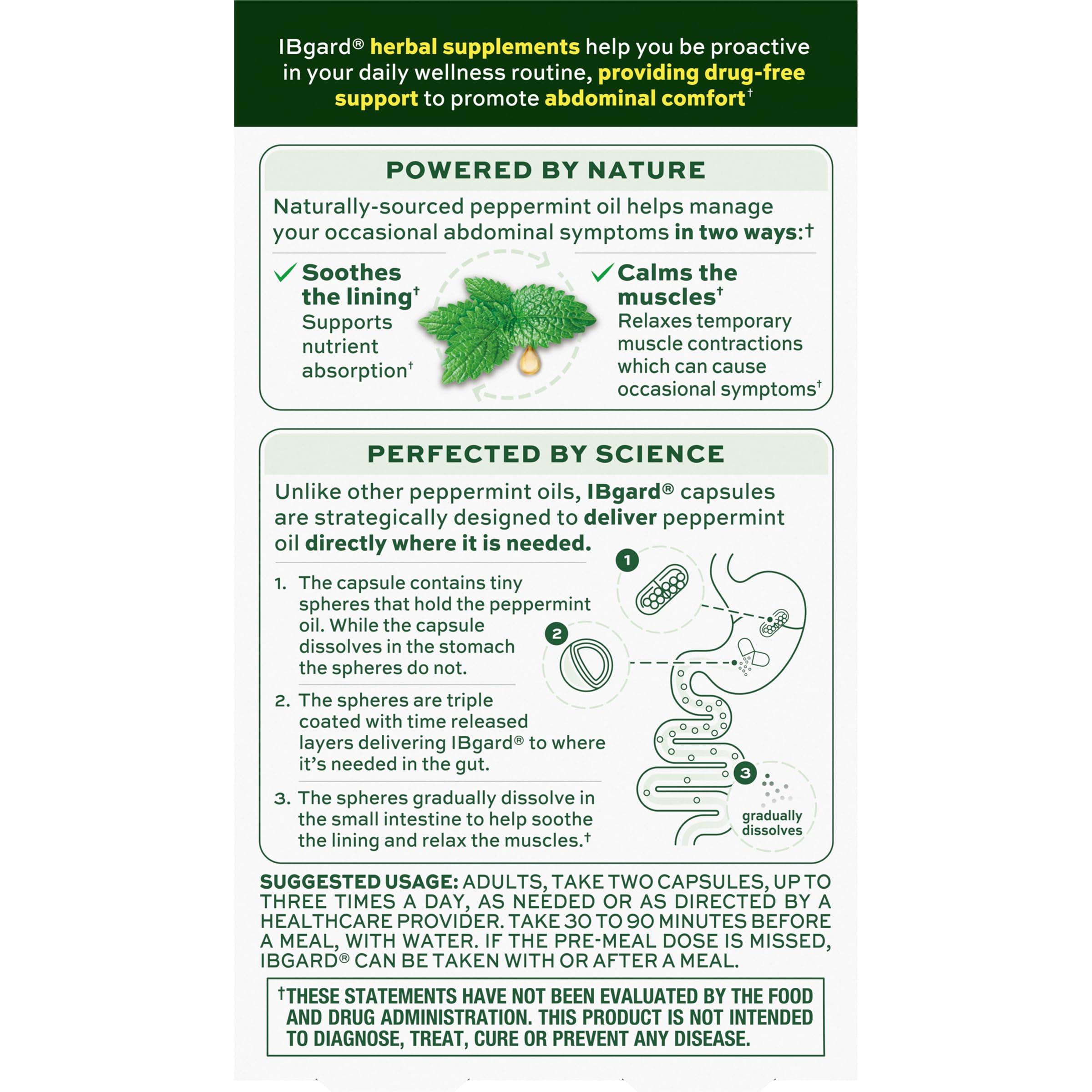 Étiquette IBgard menthe purifiée, rappel d’un usage quotidien et des bénéfices potentiels