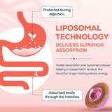 IcarusIvy NAD liposomal; ingrédients trèfle rouge et onagre pour l'équilibre.