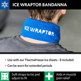 Inserts Cryosheet 6x25 cellules compatibles ICE WRAPTOR pour une fraîcheur durable.
