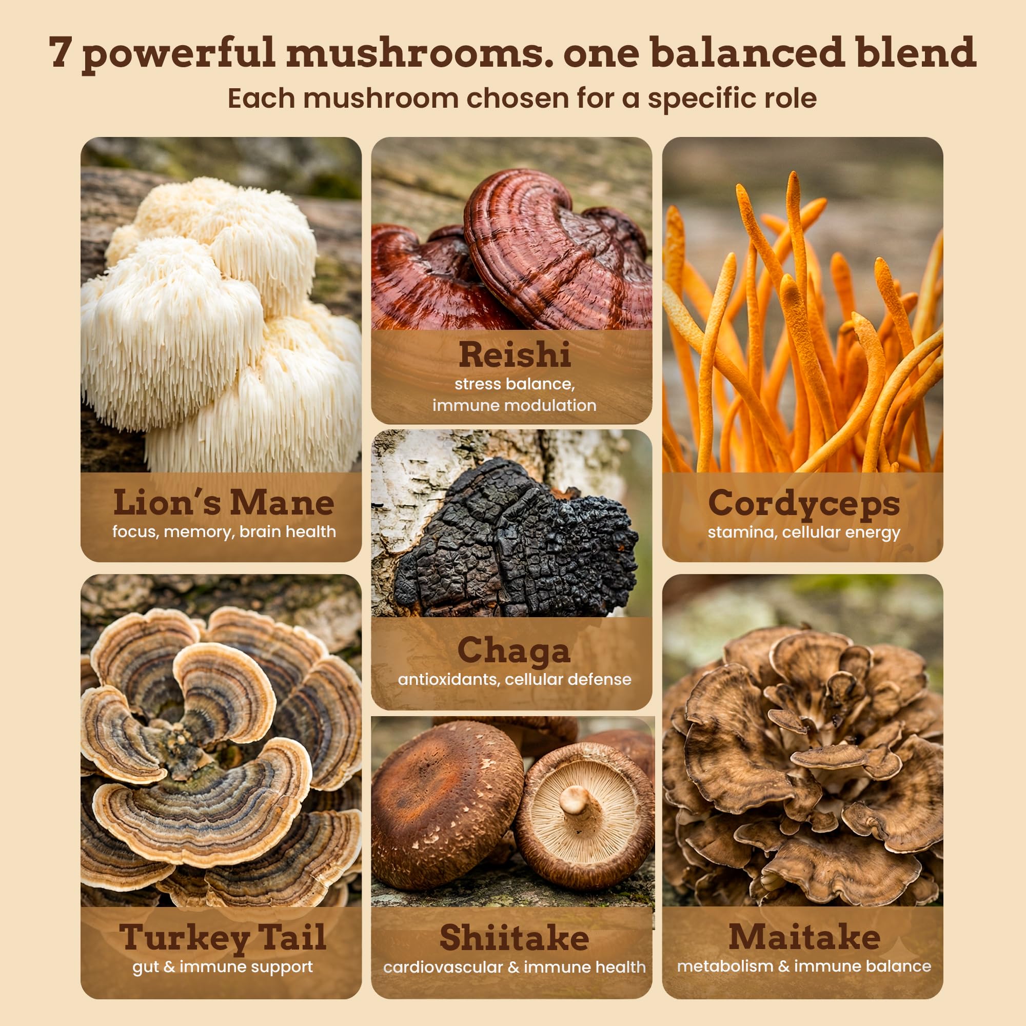 iFungi Life Force 7: mélange champignons en gros plan – énergie naturelle potentielle.