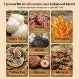 iFungi Life Force 7: mélange champignons en gros plan – énergie naturelle potentielle.