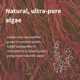 Igennus astaxanthine issue de microalgues pure pour les bienfaits antioxydants.