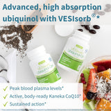 Gélules Igennus VesIsorb ubiquinol 100 mg, prise facile et énergie potentielle.
