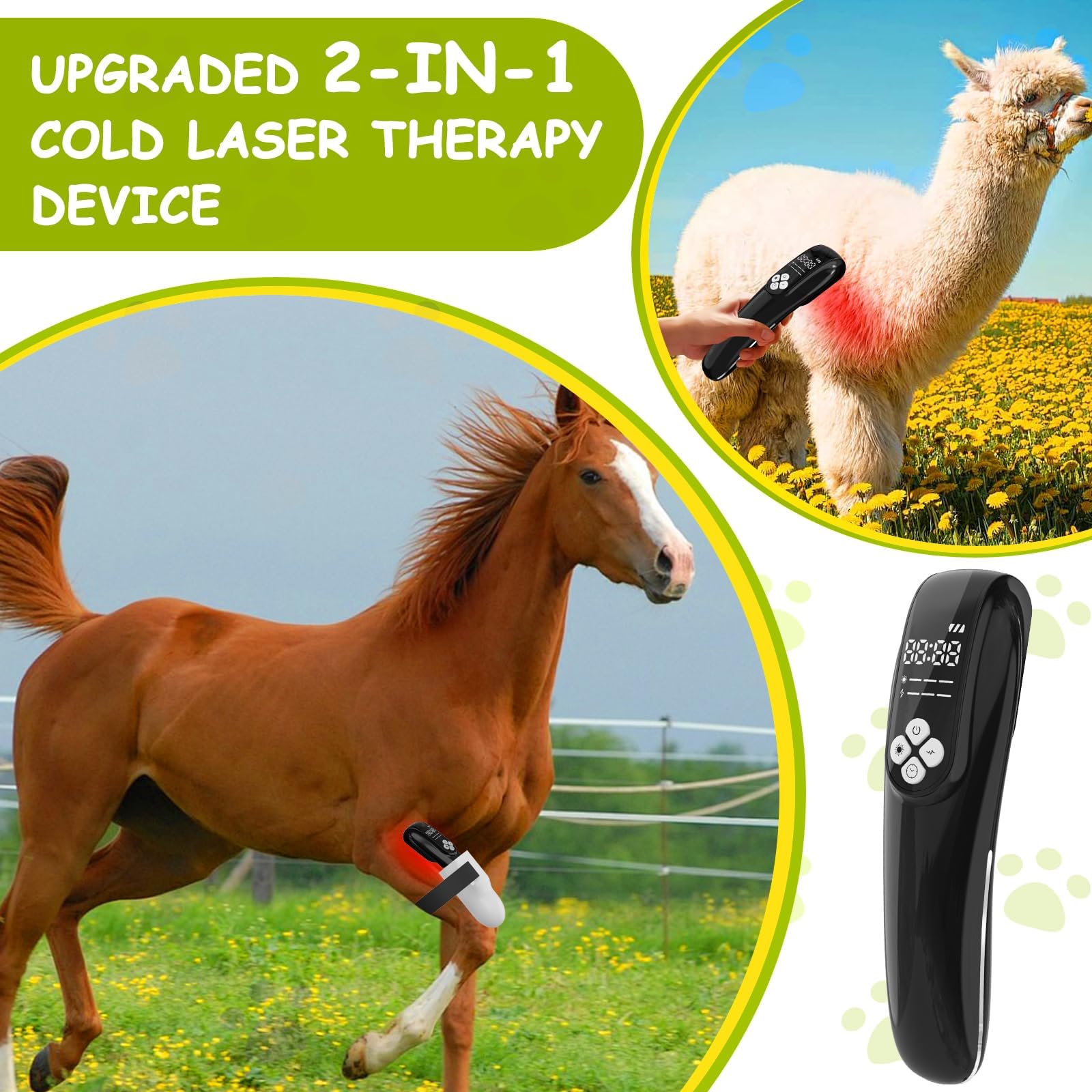 iKeener précision infrarouge 808nm pour action en profondeur chez l’animal