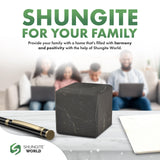 Shungite World Cube Brut 30 mm – Protection Énergétique, Déco Bureau & Méditation