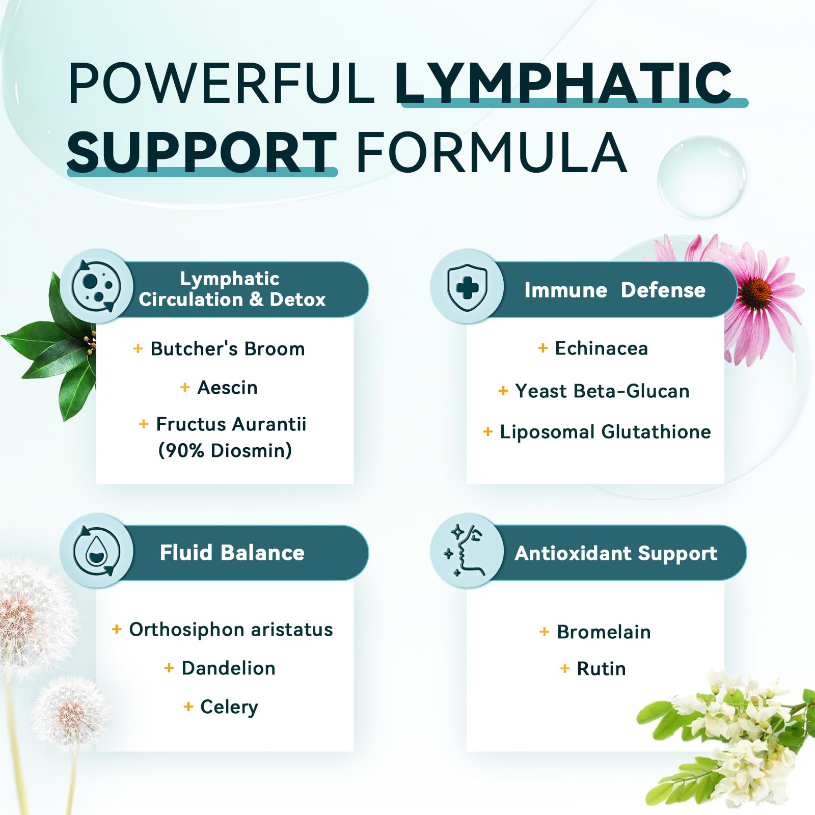 iMATCHME orthosiphon aristatus – feuilles illustrant le soutien rénal potentiel.