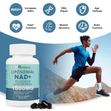 inGreens Liposomal NAD+ 1800 mg - bouteille et verre d'eau pour une utilisation simple