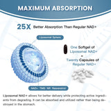 inGreens Liposomal NAD+ 1800 mg - close-up des ingrédients NAD et nutriments clés
