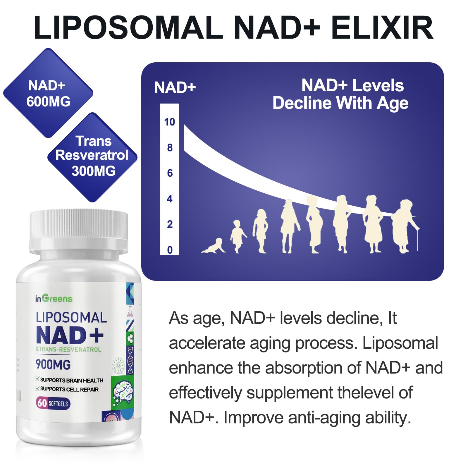 technologie liposomale de inGreens: meilleure biodisponibilité du NAD+