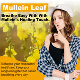 inGreens gélules mullein-feuille, prise pratique pour respiration plus facile.