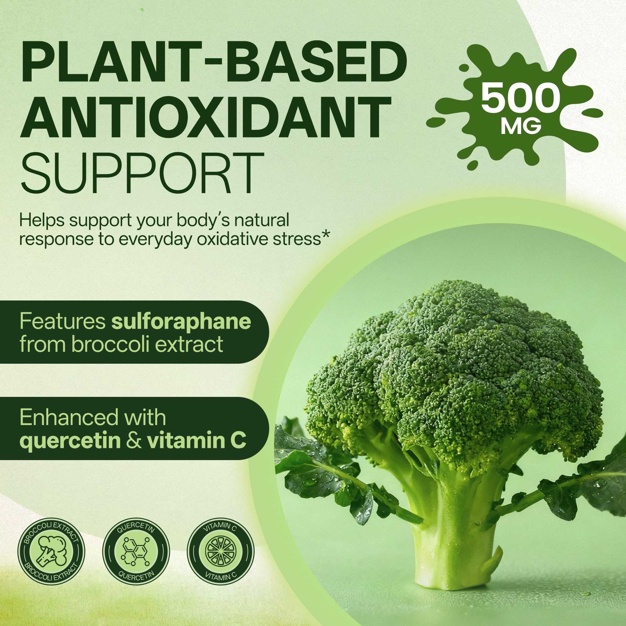 inGreens extrait brocoli — visuel de l’ingrédient clé pour le soutien cellulaire