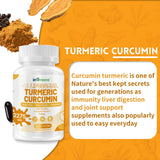 InGreens Turmeric biologique, racine et extrait pour une formulation naturelle