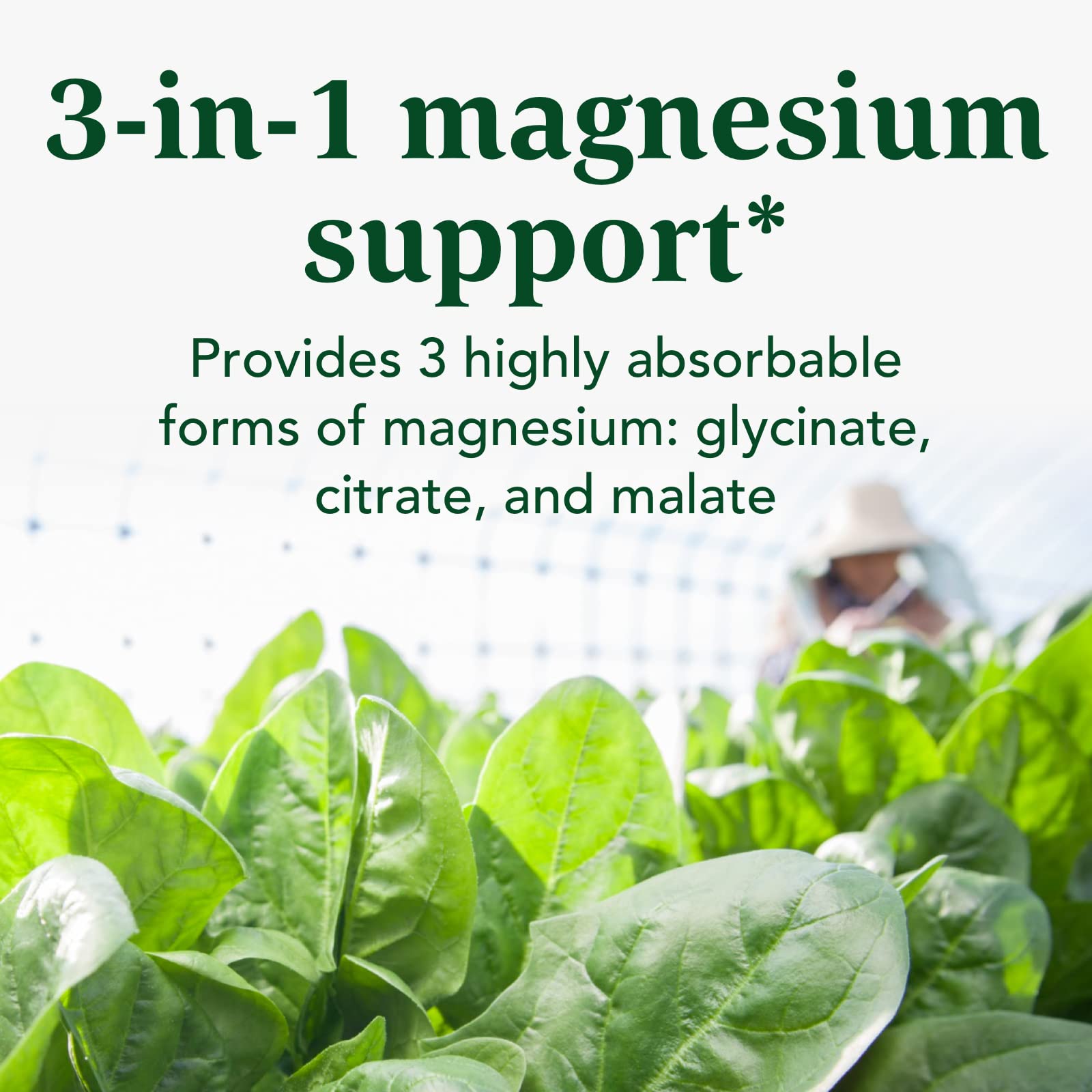 INNATE Formulas magnésium 300 mg – trio de formes, absorption améliorée.