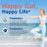 Innate Vitality Daily Probiotics boite emboitee: format pratique pour le voyage